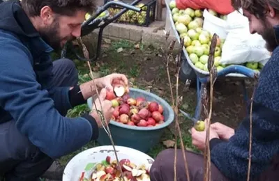 Nel Sacro Seno della Ruralità